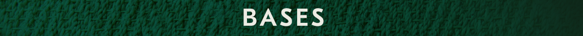 BASES